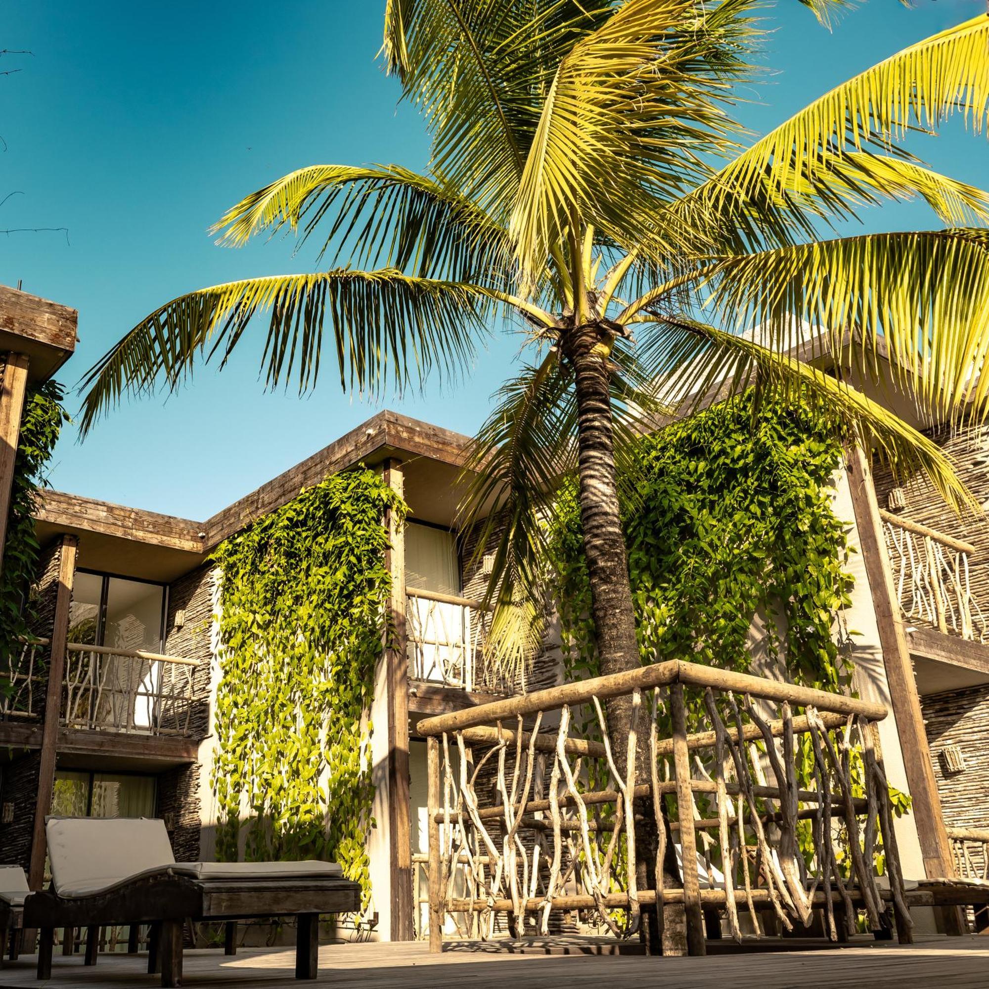 Apenunga Eco Hotel Жижока ди Жерикоакоара Екстериор снимка